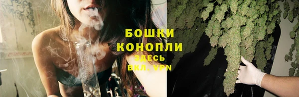 спиды Вяземский