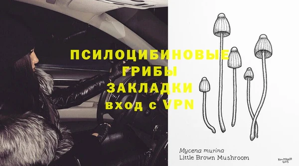 герыч Вязьма