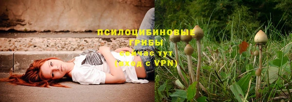 бошки Володарск