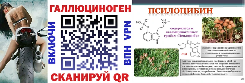 Галлюциногенные грибы мицелий  Каспийск 